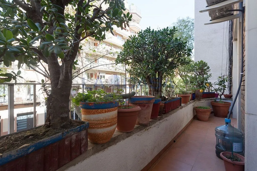 Rõdu - Flat with Balcony in Camp del Arpa, Barcelona
