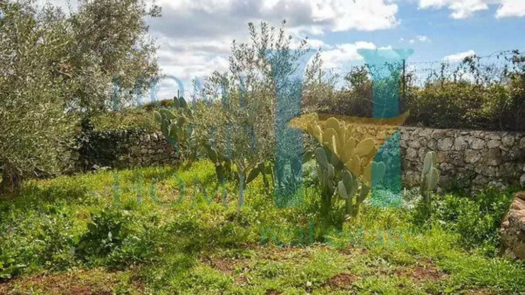 Jardin - Rustic Villa with Ornamental Garden in Modica