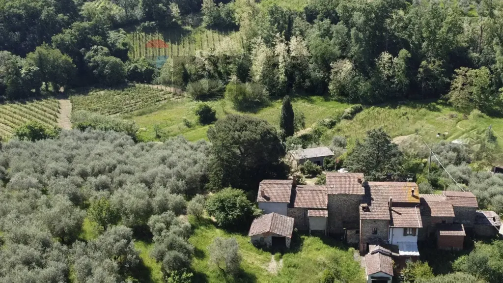 Vue aérienne - Tuscan Hamlet with Olive Groves in Vinci