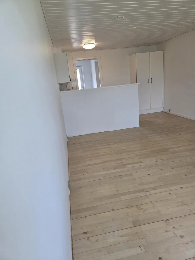 Pièces - Renovated Studio Flat with Terrace in Ørnhøj