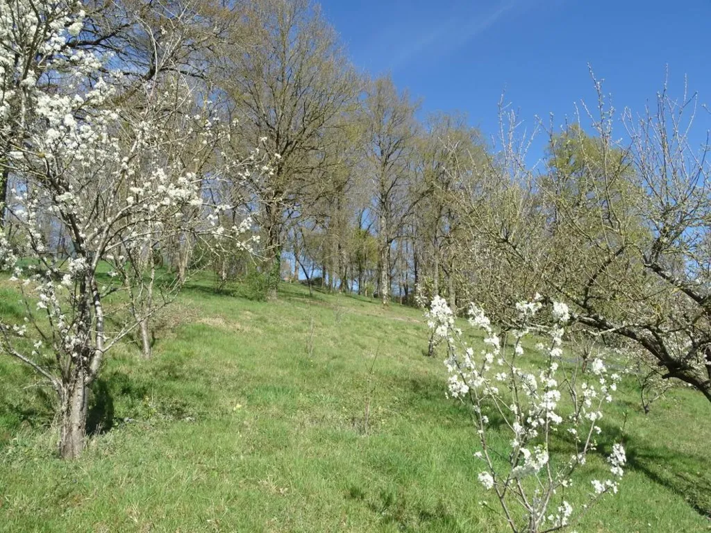 Jardin - Maison Individuelle avec Grand Jardin à la Campagne