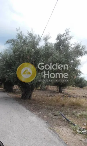 Aed - Plot with Existing Building in Aspropyrgos Centre