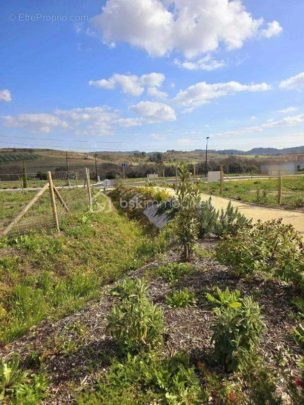 Aed - Constructible Plot in Vineyard Village