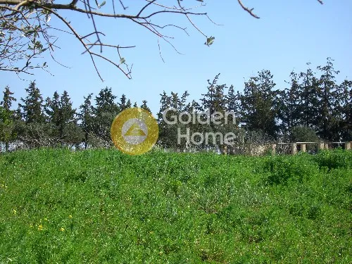 Aed - Plot with View in Koropi, Attica