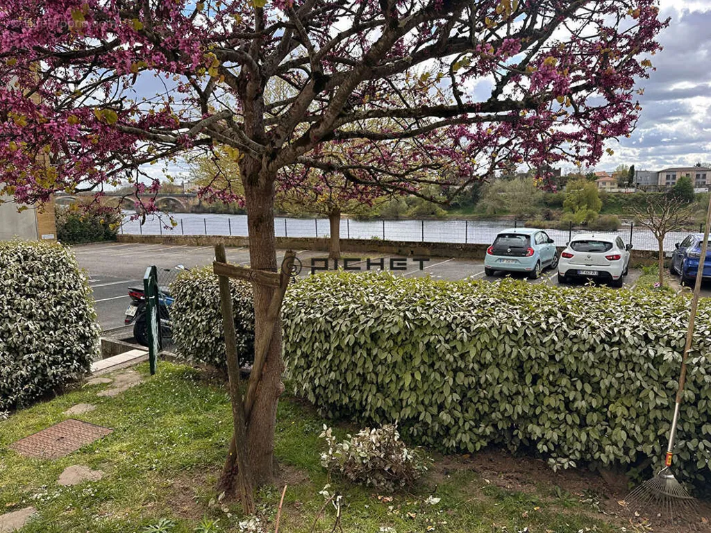 Jardin - Studio avec Jardin au Bord de la Dordogne à Bergerac
