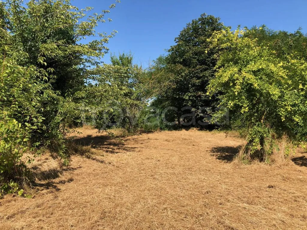 Aed - Independent House with Garden in Voghiera