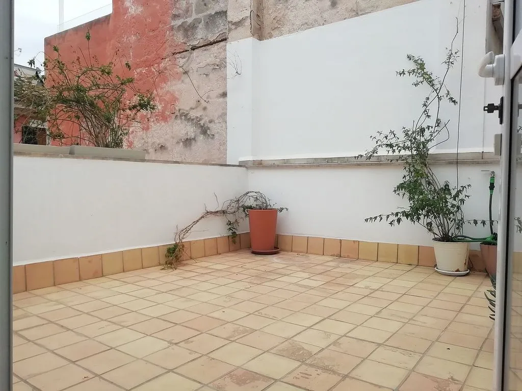 Jardin - Duplex with Terrace in La Llotja - Sant Jaume