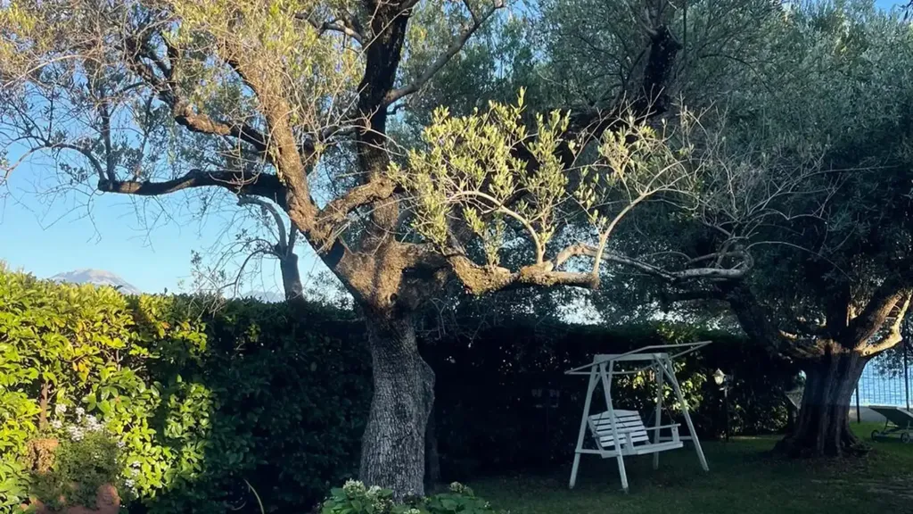 Jardin - Rustic Villa with Sea View in Scario