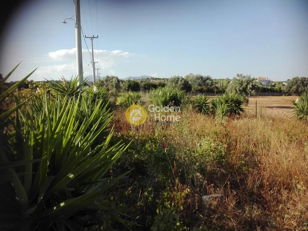 Jardin - Plot with Mountain View in Spata - Agia Kyriaki
