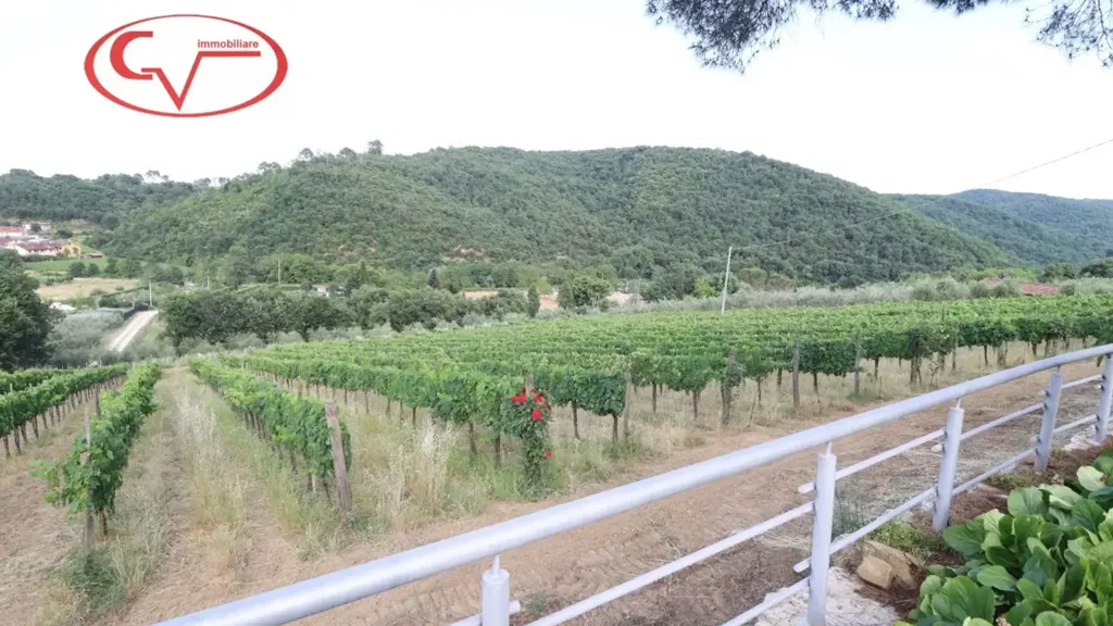 Aed - Rustic Villa with Panoramic Views in Montevarchi