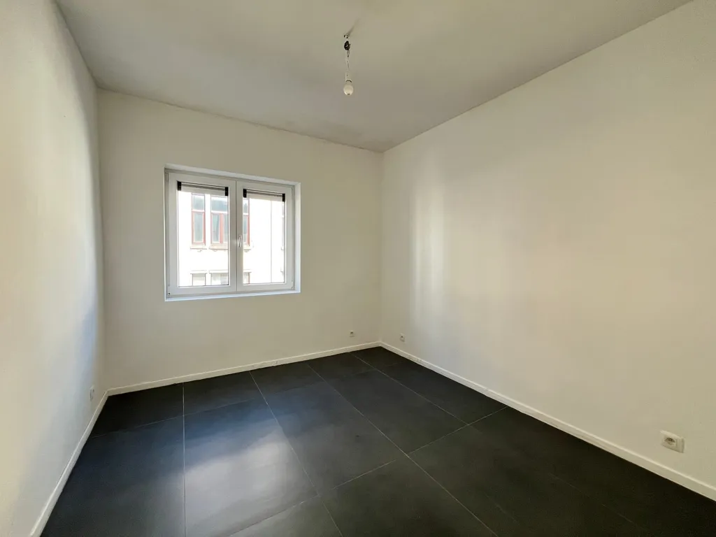 Toad - Fully Renovated Investment Property in Nice