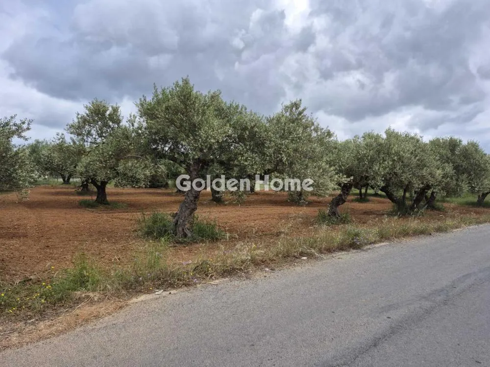 Aed - Buildable Plot with Airport Proximity in Minóa Pedíados