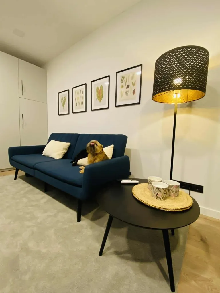 Séjour - Renovated 2-Bedroom Flat in Vilnius