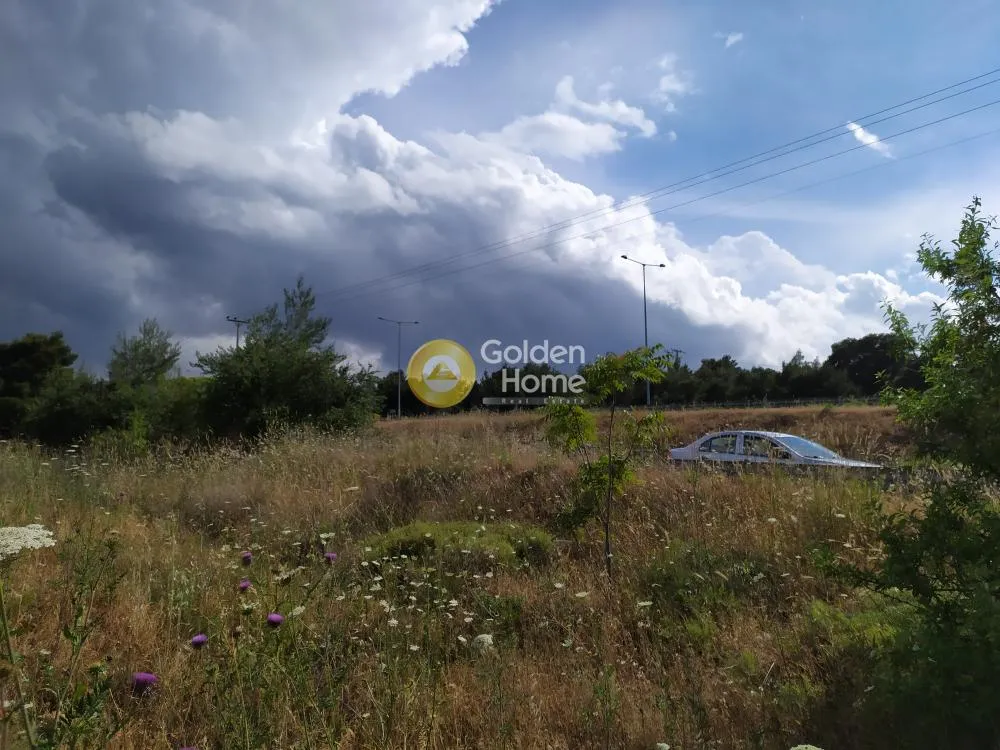 Aed - Large Plot with Sea View in Aegina