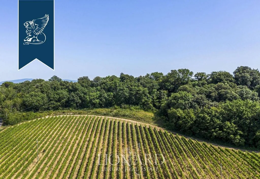 Vue aérienne - Luxury Villa with Olive Grove in San Gimignano