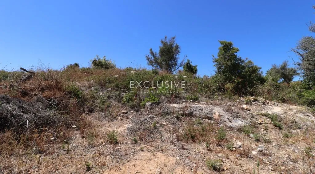 Garden - Development Land with Sea Views in Carvoeiro