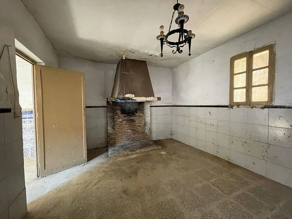 Toad - House with Terrace in Valdepeñas