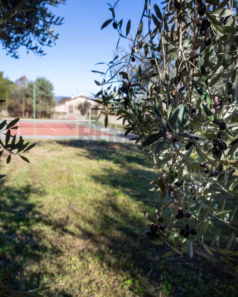 Jardin - Rustic Casale with Tennis Courts near Lucca