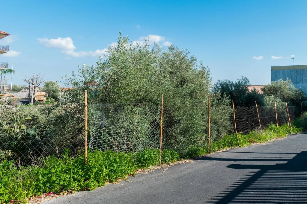 Välivaade - Buildable Plot with Development Potential in Misterbianco