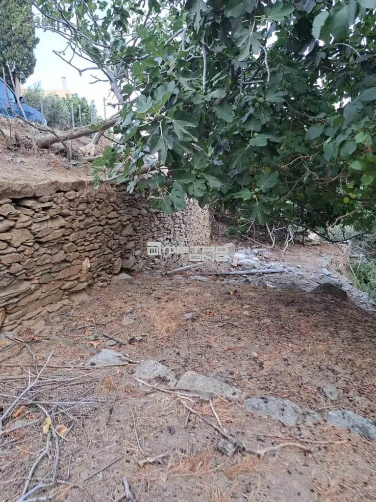 Giardino - Buildable Plot with Open Views in Andros