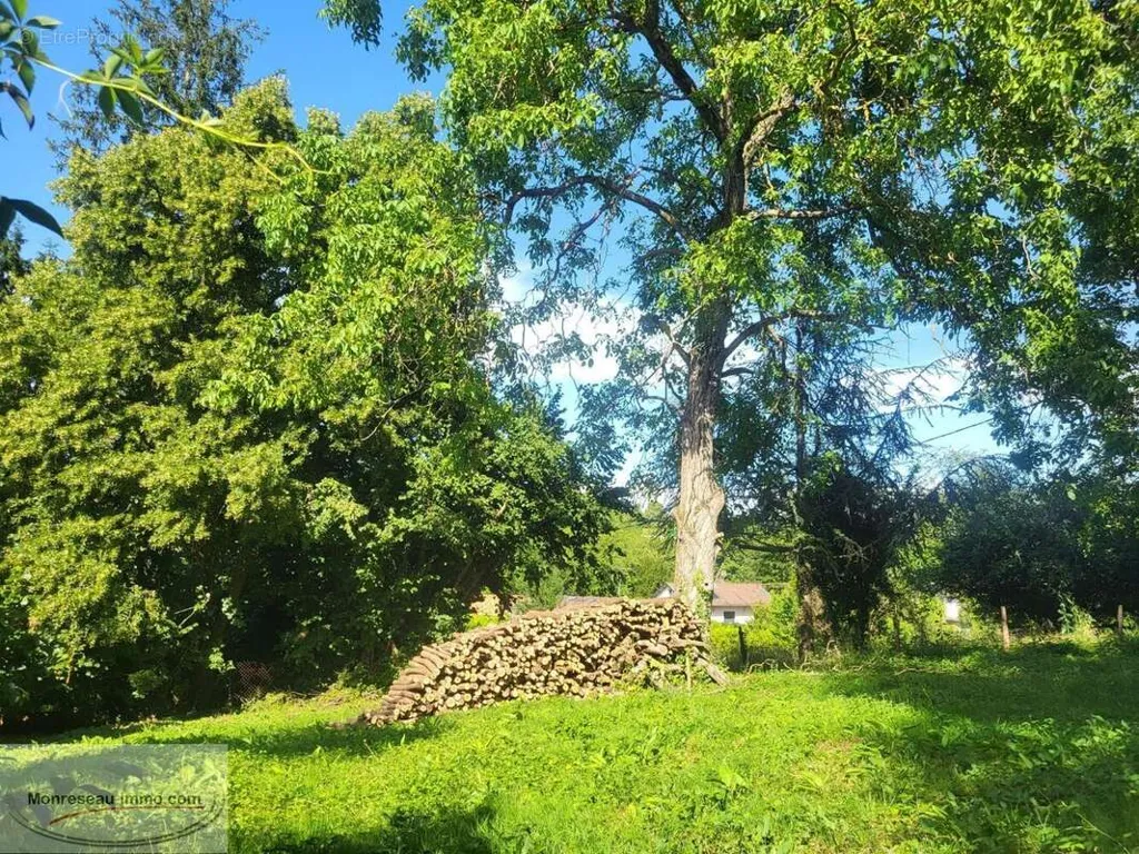 Giardino - Buildable Land with Equestrian Shelter in Flacé