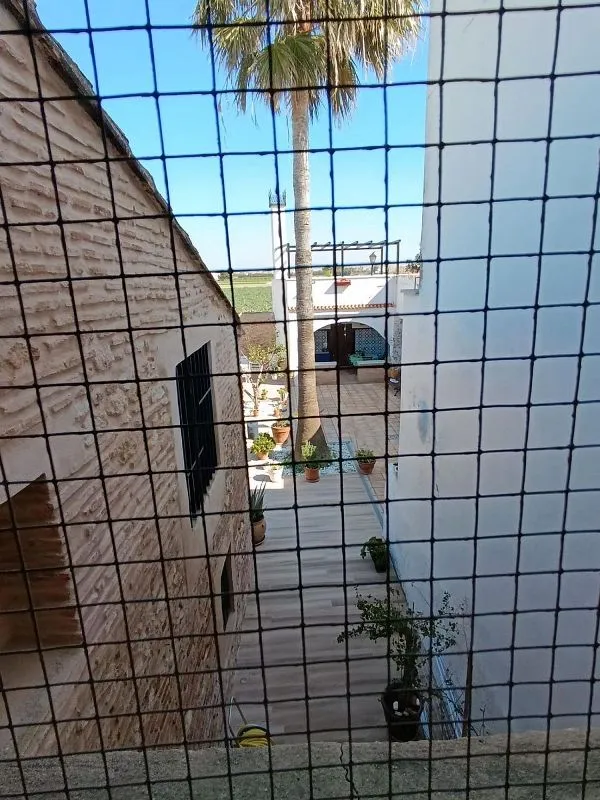 Jardin - Rustic Farmhouse with Land near Huerta