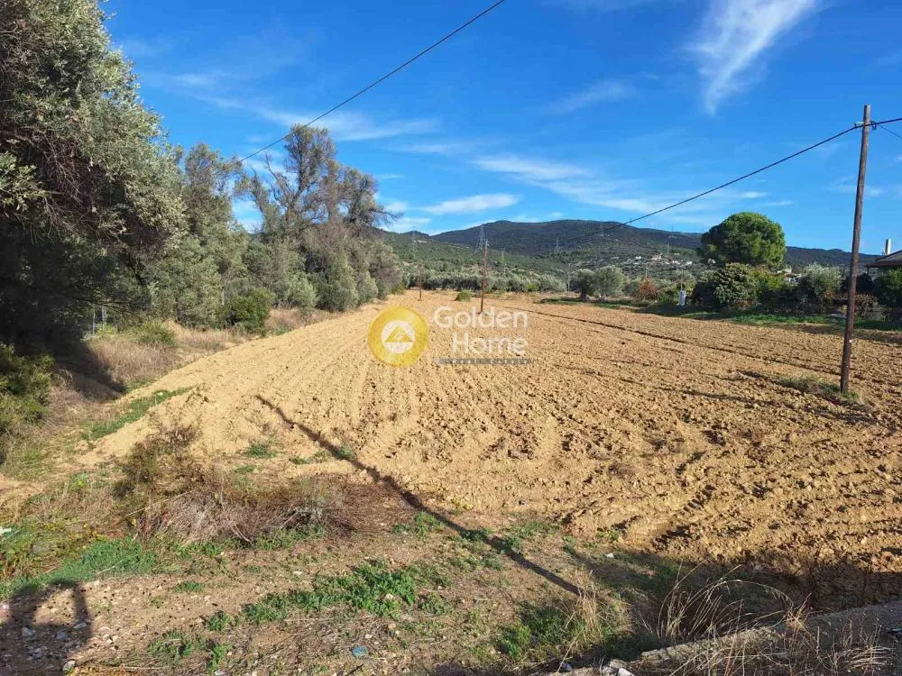 Jardin - Agricultural Plot with Unobstructed View in Chalkida