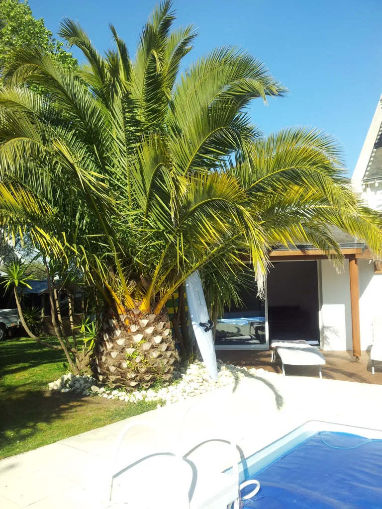 Piscine - Maison avec Piscine Chauffée à 200 m de la Plage