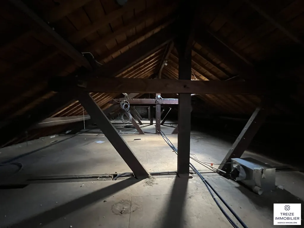 Toad - Renovation Project in Auray Centre