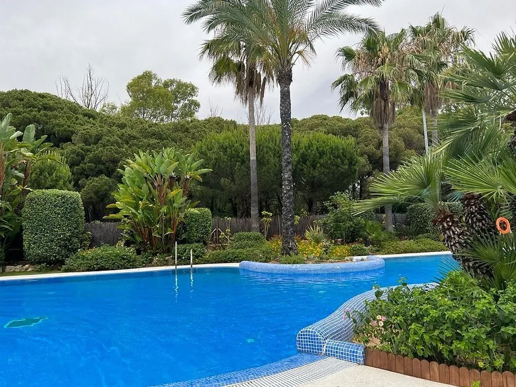 Piscine - Apartment with Terrace in El Ancla