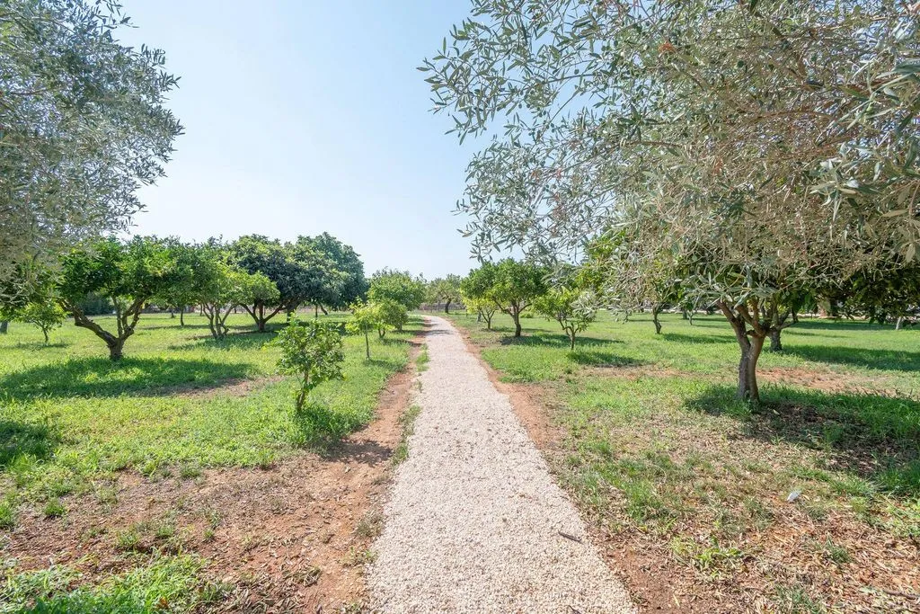 Aed - Luxury Farmhouse with Mountain Views in Binissalem