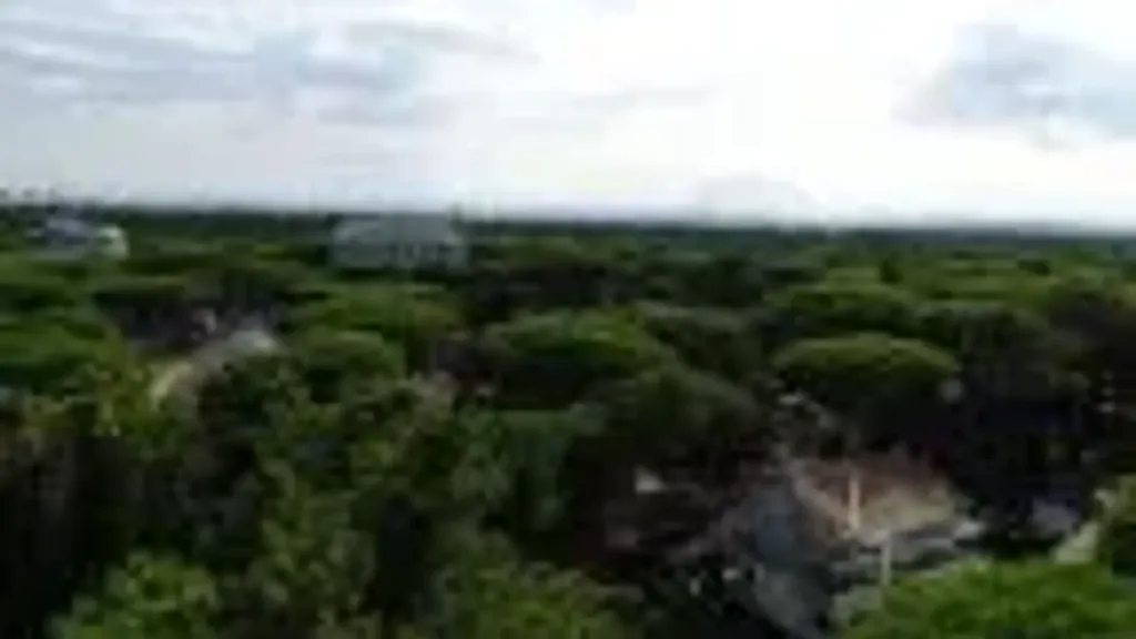 Vue aérienne - Apartment with Panoramic Sea View in Milano Marittima