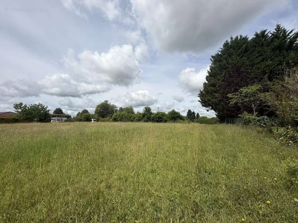 Jardin - Terrain Constructible à Linards, Proche de Châteauneuf-la-Forêt