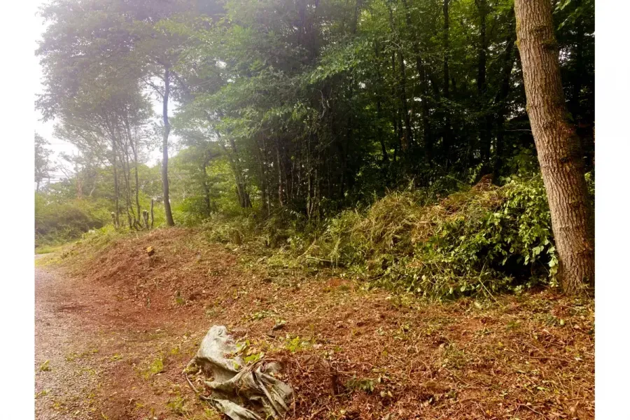 Land in Philippeville