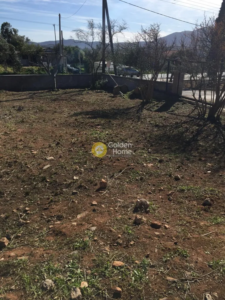 Aed - Plot with View in Paiania - Sparoza