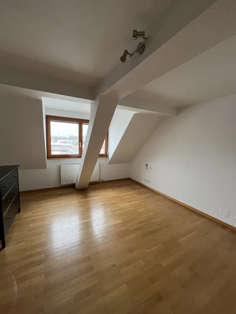 Pièces - Duplex avec Terrasse à Strasbourg République