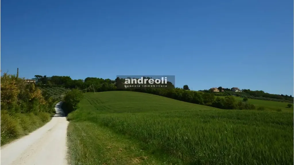 Garden - Rustic Property with Private Courtyard in Belvedere Ostrense