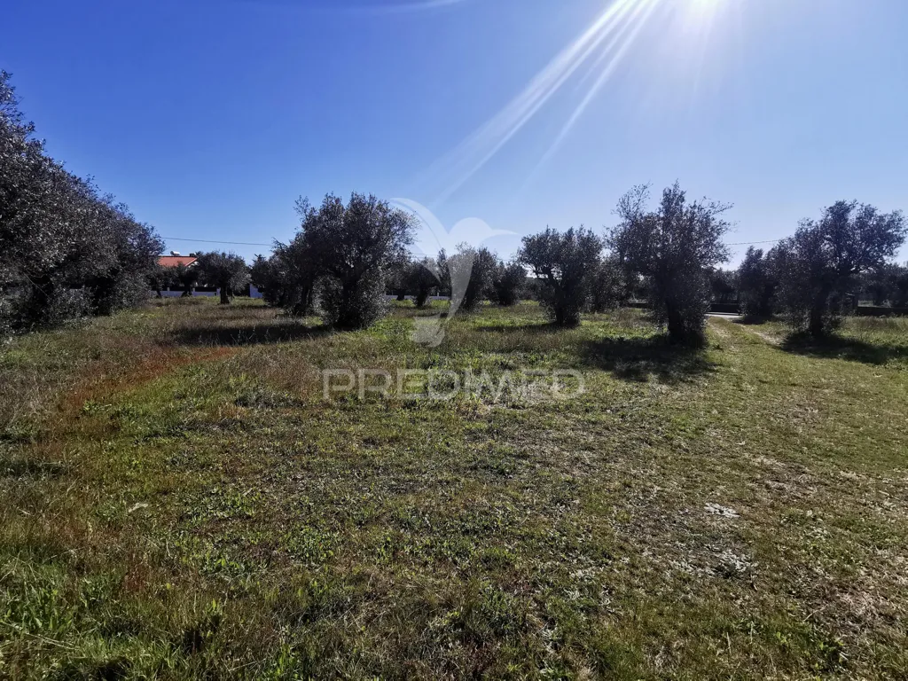 Aed - Urban Plot with Construction Permit in Lisbon