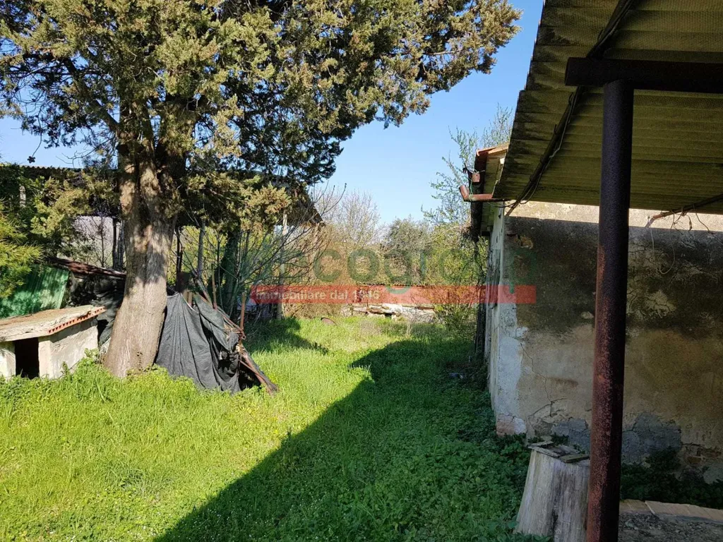 Aed - Tuscan Villa with Garden in Collesalvetti