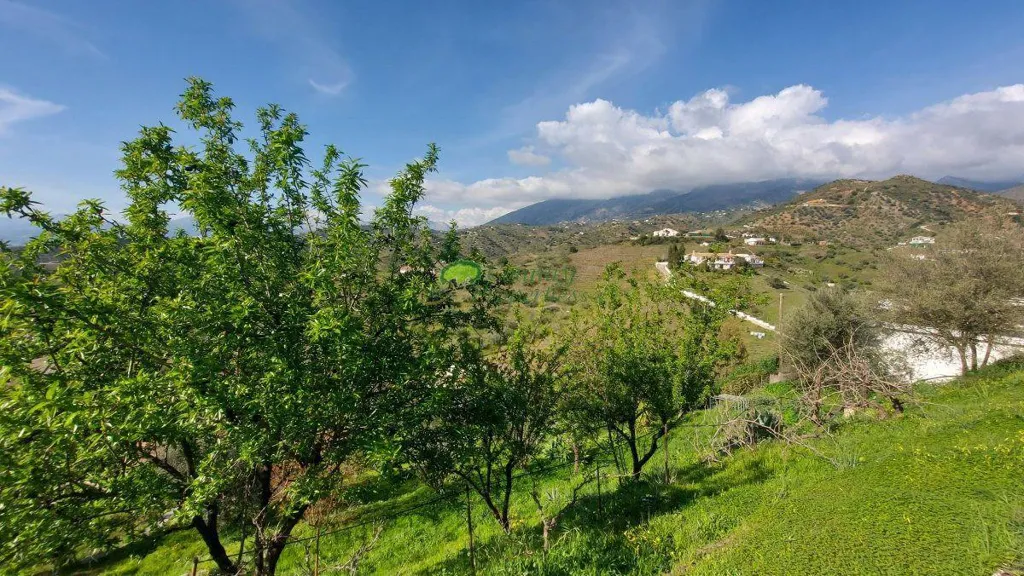 Aed - Villa with Pool and Mountain Views in Canillas de Aceituno