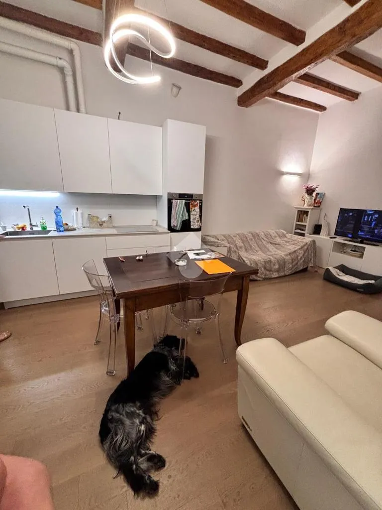 Elutuba - Renovated Ground Floor Flat in Bologna