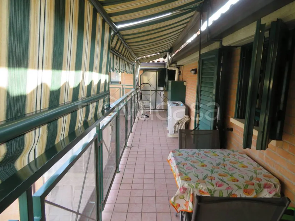 terrace_patio