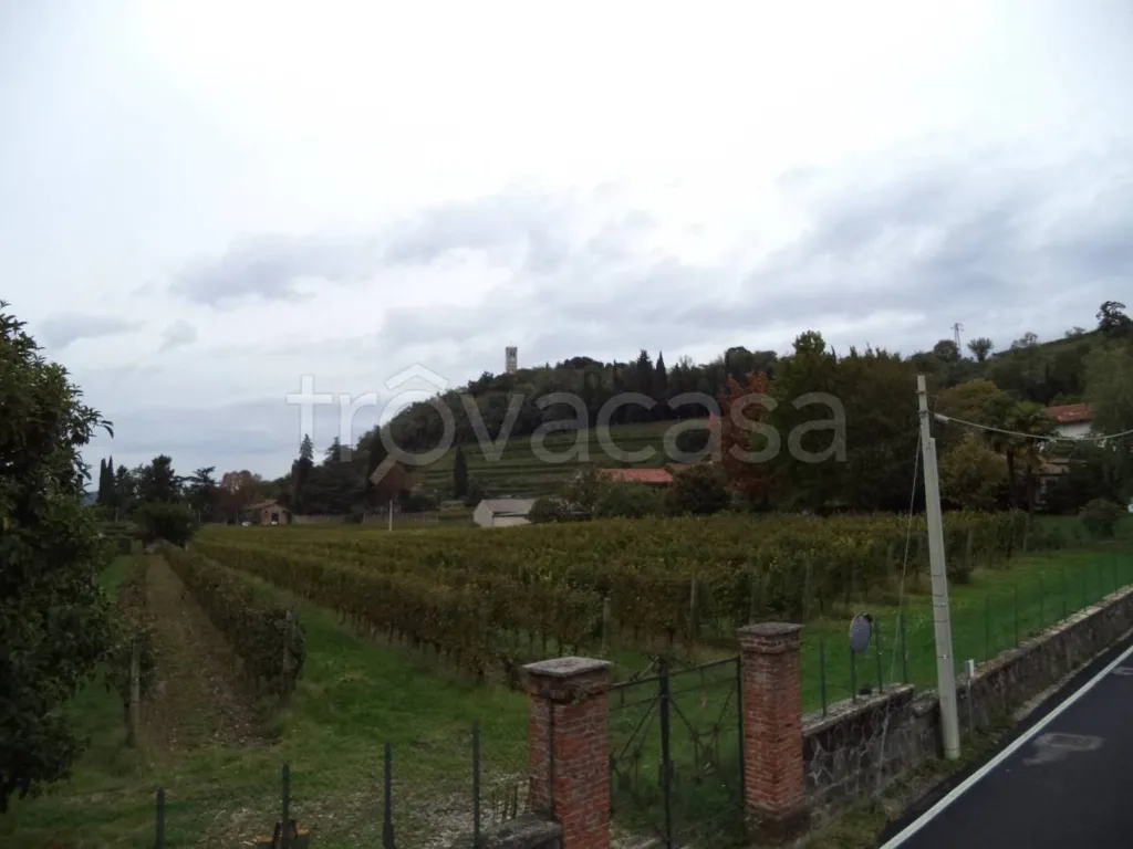 Jardin - Independent House with Garden in Cormons
