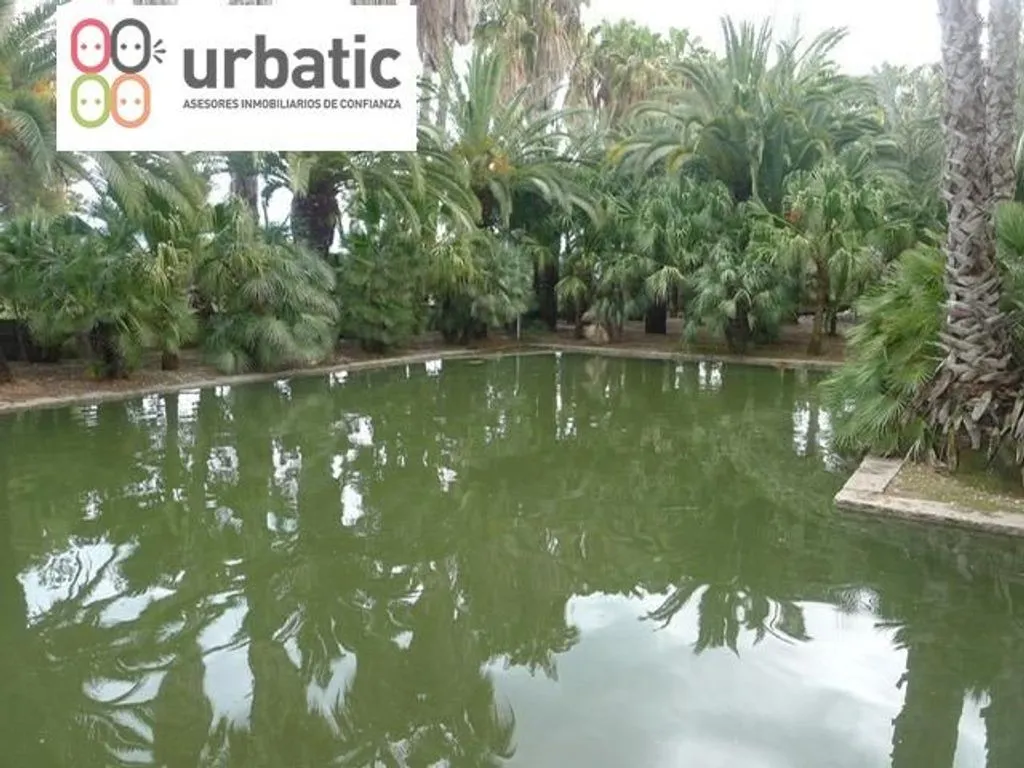 Jardin - Luxury Detached House with Pool in Gandia