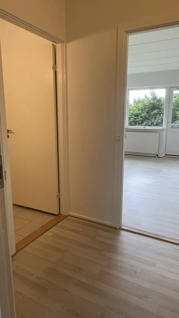 2-toaline korter asukohas Viborg