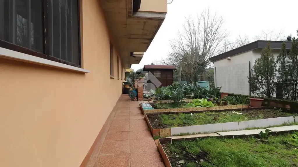 Jardin - Apartment with Balcony in Porto Mantovano