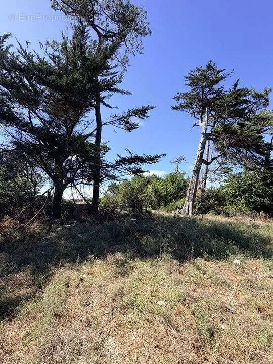 Buildable Plot with Ocean View in Soulac-Sur-Mer