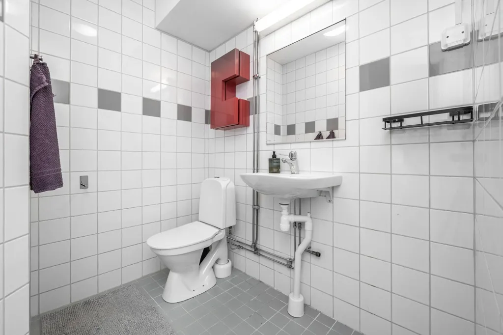 Vannitoad - Apartment with Potential in Solhjulet