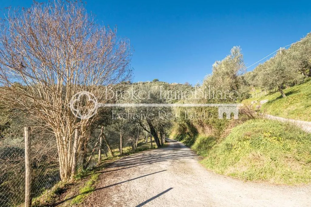 Garden - Rustic Villa with Olive Grove in Massarosa