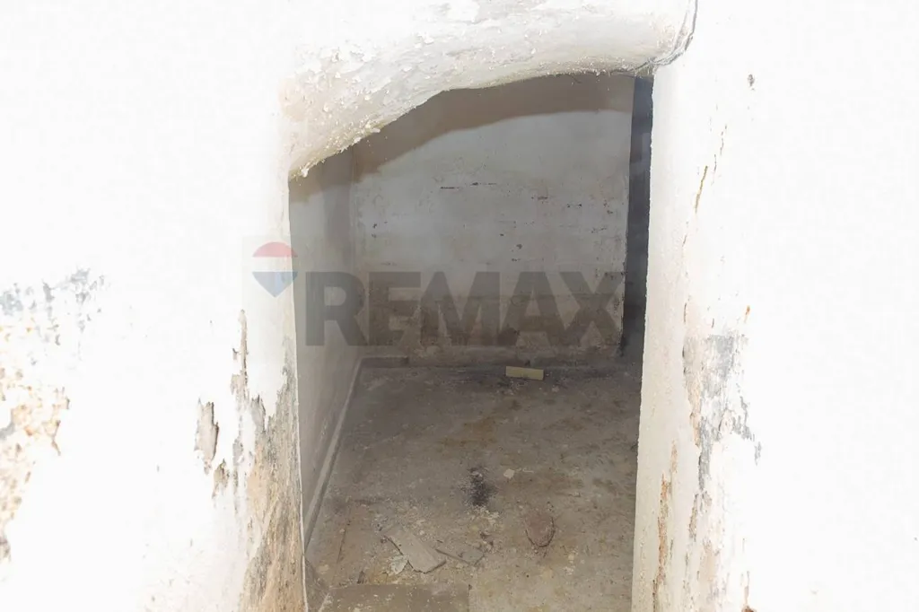 cellar